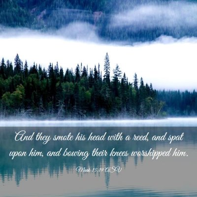 Picture 03 - Mark 15:19 ASV - And they smote his head with a reed, and spat - Bible Verse Picture