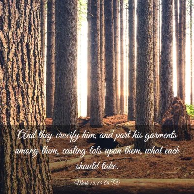 Picture 03 - Mark 15:24 ASV - And they crucify him, and part his garments among - Bible Verse Picture
