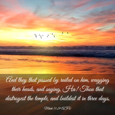Picture 03 - Mark 15:29 ASV - And they that passed by railed on him, wagging - Bible Verse Picture