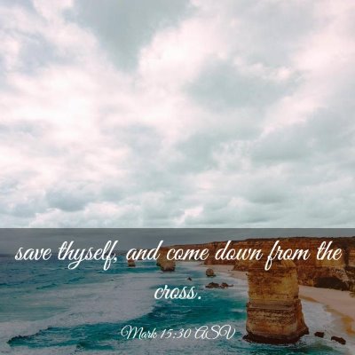 Picture 03 - Mark 15:30 ASV - save thyself, and come down from the - Bible Verse Picture