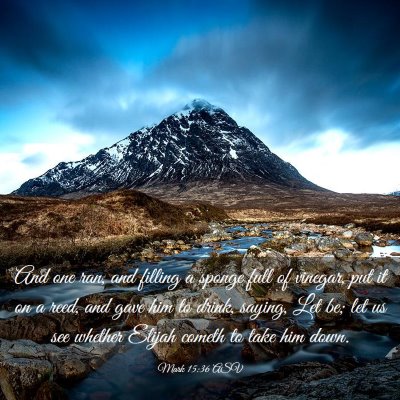 Picture 03 - Mark 15:36 ASV - And one ran, and filling a sponge full of - Bible Verse Picture