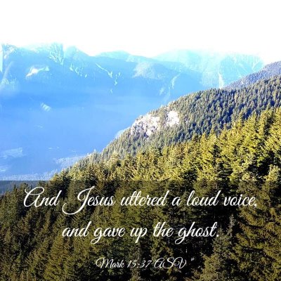 Picture 03 - Mark 15:37 ASV - And Jesus uttered a loud voice, and gave up the - Bible Verse Picture