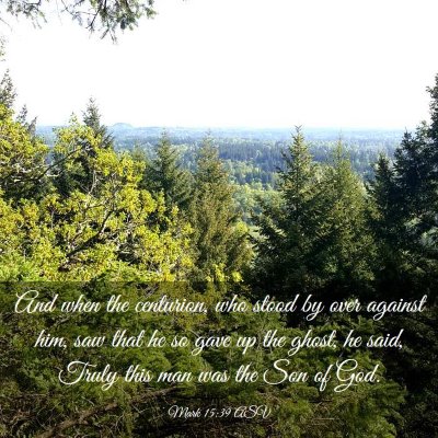 Picture 03 - Mark 15:39 ASV - And when the centurion, who stood by over against - Bible Verse Picture