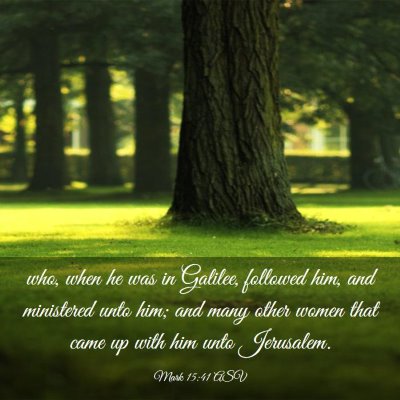 Picture 03 - Mark 15:41 ASV - who, when he was in Galilee, followed him, and - Bible Verse Picture