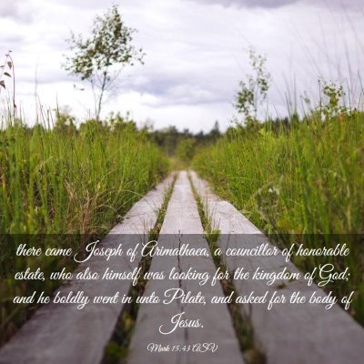 Picture 03 - Mark 15:43 ASV - there came Joseph of Arimathaea, a councillor of - Bible Verse Picture