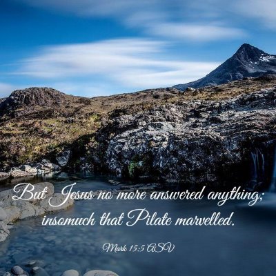 Picture 03 - Mark 15:5 ASV - But Jesus no more answered anything; insomuch - Bible Verse Picture