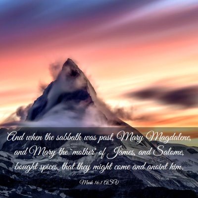 Picture 03 - Mark 16:1 ASV - And when the sabbath was past, Mary Magdalene, - Bible Verse Picture