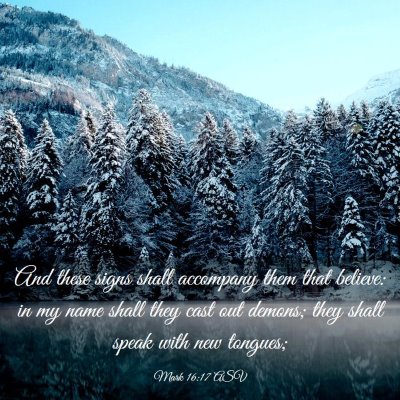 Picture 03 - Mark 16:17 ASV - And these signs shall accompany them that - Bible Verse Picture