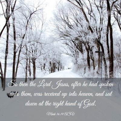 Picture 03 - Mark 16:19 ASV - So then the Lord Jesus, after he had spoken unto - Bible Verse Picture