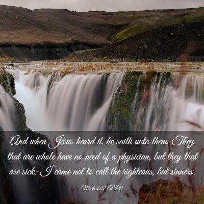 Picture 03 - Mark 2:17 ASV - And when Jesus heard it, he saith unto them, They - Bible Verse Picture