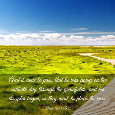 Picture 03 - Mark 2:23 ASV - And it came to pass, that he was going on the - Bible Verse Picture