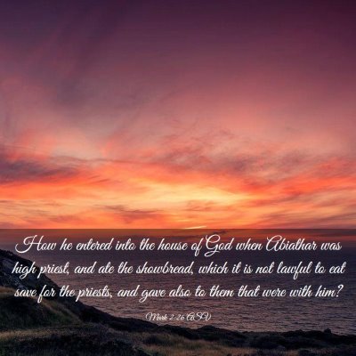 Picture 03 - Mark 2:26 ASV - How he entered into the house of God when - Bible Verse Picture