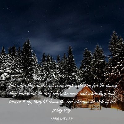 Picture 03 - Mark 2:4 ASV - And when they could not come nigh unto him for - Bible Verse Picture