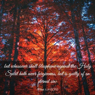 Picture 03 - Mark 3:29 ASV - but whosoever shall blaspheme against the Holy - Bible Verse Picture