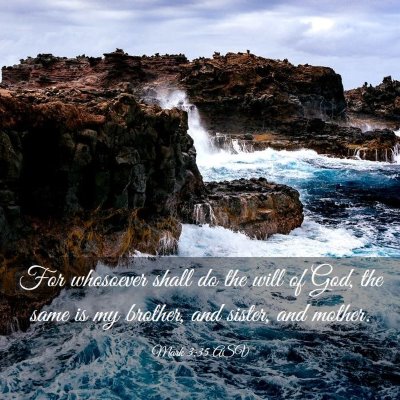 Picture 03 - Mark 3:35 ASV - For whosoever shall do the will of God, the same - Bible Verse Picture