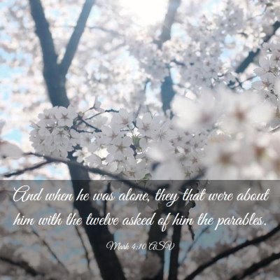Picture 03 - Mark 4:10 ASV - And when he was alone, they that were about him - Bible Verse Picture