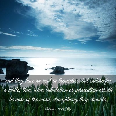 Picture 03 - Mark 4:17 ASV - and they have no root in themselves, but endure - Bible Verse Picture