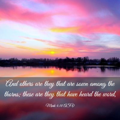 Picture 03 - Mark 4:18 ASV - And others are they that are sown among the - Bible Verse Picture