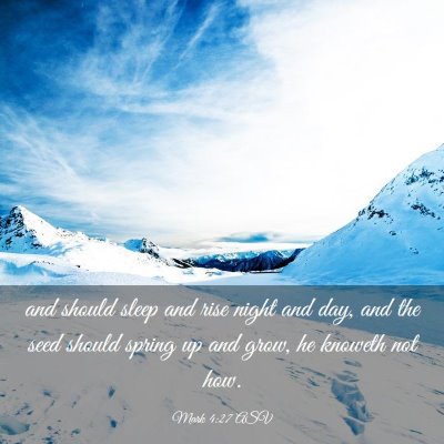 Picture 03 - Mark 4:27 ASV - and should sleep and rise night and day, and the - Bible Verse Picture