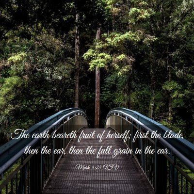 Picture 03 - Mark 4:28 ASV - The earth beareth fruit of herself; first the - Bible Verse Picture