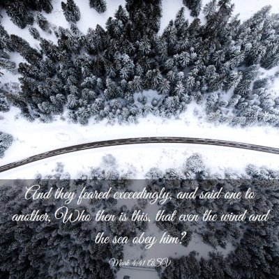 Picture 03 - Mark 4:41 ASV - And they feared exceedingly, and said one to - Bible Verse Picture