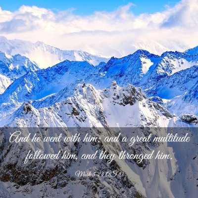 Picture 03 - Mark 5:24 ASV - And he went with him; and a great multitude - Bible Verse Picture