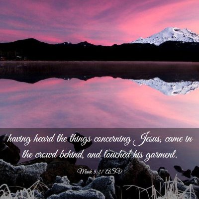Picture 03 - Mark 5:27 ASV - having heard the things concerning Jesus, came in - Bible Verse Picture