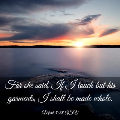 Picture 03 - Mark 5:28 ASV - For she said, If I touch but his garments, I - Bible Verse Picture