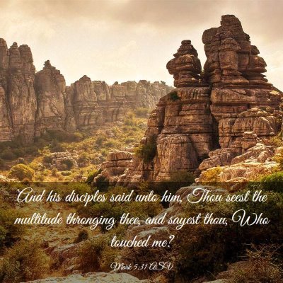 Picture 03 - Mark 5:31 ASV - And his disciples said unto him, Thou seest the - Bible Verse Picture