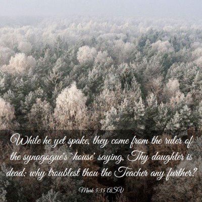 Picture 03 - Mark 5:35 ASV - While he yet spake, they come from the ruler of - Bible Verse Picture