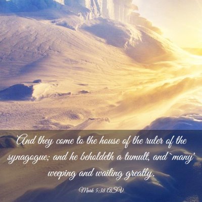 Picture 03 - Mark 5:38 ASV - And they come to the house of the ruler of the - Bible Verse Picture