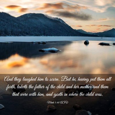 Picture 03 - Mark 5:40 ASV - And they laughed him to scorn. But he, having put - Bible Verse Picture
