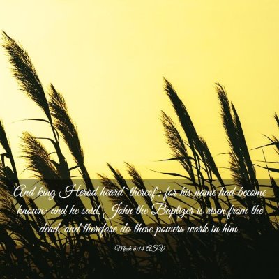 Picture 03 - Mark 6:14 ASV - And king Herod heard `thereof'; for his name had - Bible Verse Picture