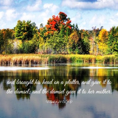 Picture 03 - Mark 6:28 ASV - and brought his head on a platter, and gave it to - Bible Verse Picture