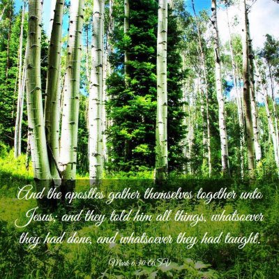 Picture 03 - Mark 6:30 ASV - And the apostles gather themselves together unto - Bible Verse Picture