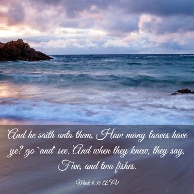 Picture 03 - Mark 6:38 ASV - And he saith unto them, How many loaves have ye? - Bible Verse Picture