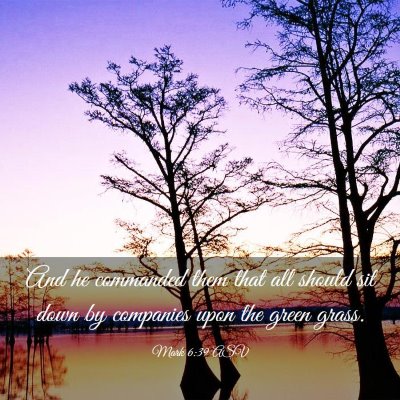 Picture 03 - Mark 6:39 ASV - And he commanded them that all should sit down by - Bible Verse Picture