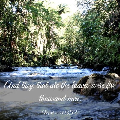 Picture 03 - Mark 6:44 ASV - And they that ate the loaves were five thousand - Bible Verse Picture