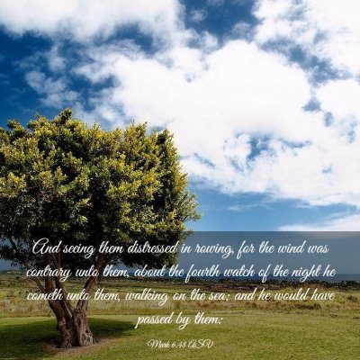 Picture 03 - Mark 6:48 ASV - And seeing them distressed in rowing, for the - Bible Verse Picture