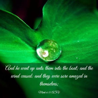 Picture 03 - Mark 6:51 ASV - And he went up unto them into the boat; and the - Bible Verse Picture