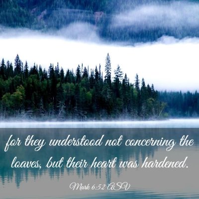 Picture 03 - Mark 6:52 ASV - for they understood not concerning the loaves, - Bible Verse Picture