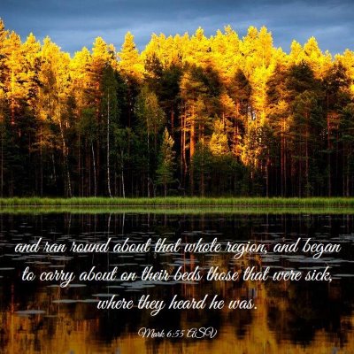 Picture 03 - Mark 6:55 ASV - and ran round about that whole region, and began - Bible Verse Picture
