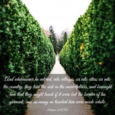 Picture 03 - Mark 6:56 ASV - And wheresoever he entered, into villages, or - Bible Verse Picture