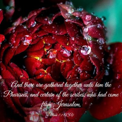 Picture 03 - Mark 7:1 ASV - And there are gathered together unto him the - Bible Verse Picture