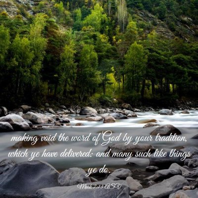 Picture 03 - Mark 7:13 ASV - making void the word of God by your tradition, - Bible Verse Picture