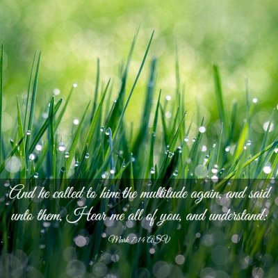 Picture 03 - Mark 7:14 ASV - And he called to him the multitude again, and - Bible Verse Picture