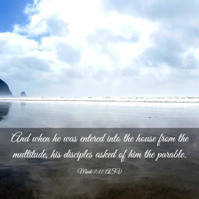 Picture 03 - Mark 7:17 ASV - And when he was entered into the house from the - Bible Verse Picture
