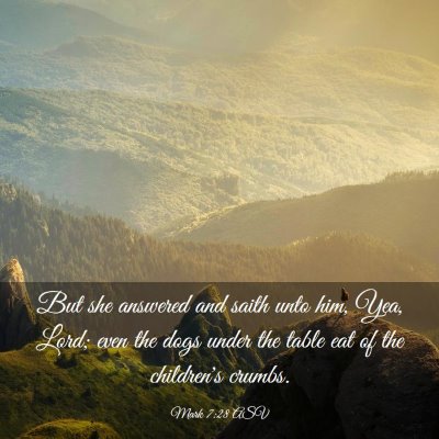 Picture 03 - Mark 7:28 ASV - But she answered and saith unto him, Yea, Lord; - Bible Verse Picture