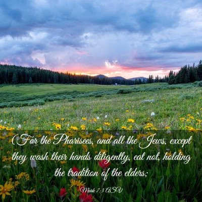 Picture 03 - Mark 7:3 ASV - (For the Pharisees, and all the Jews, except they - Bible Verse Picture