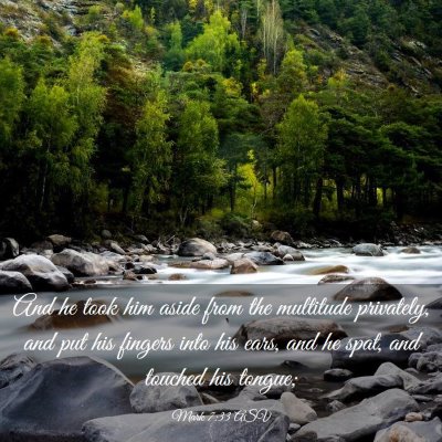 Picture 03 - Mark 7:33 ASV - And he took him aside from the multitude - Bible Verse Picture